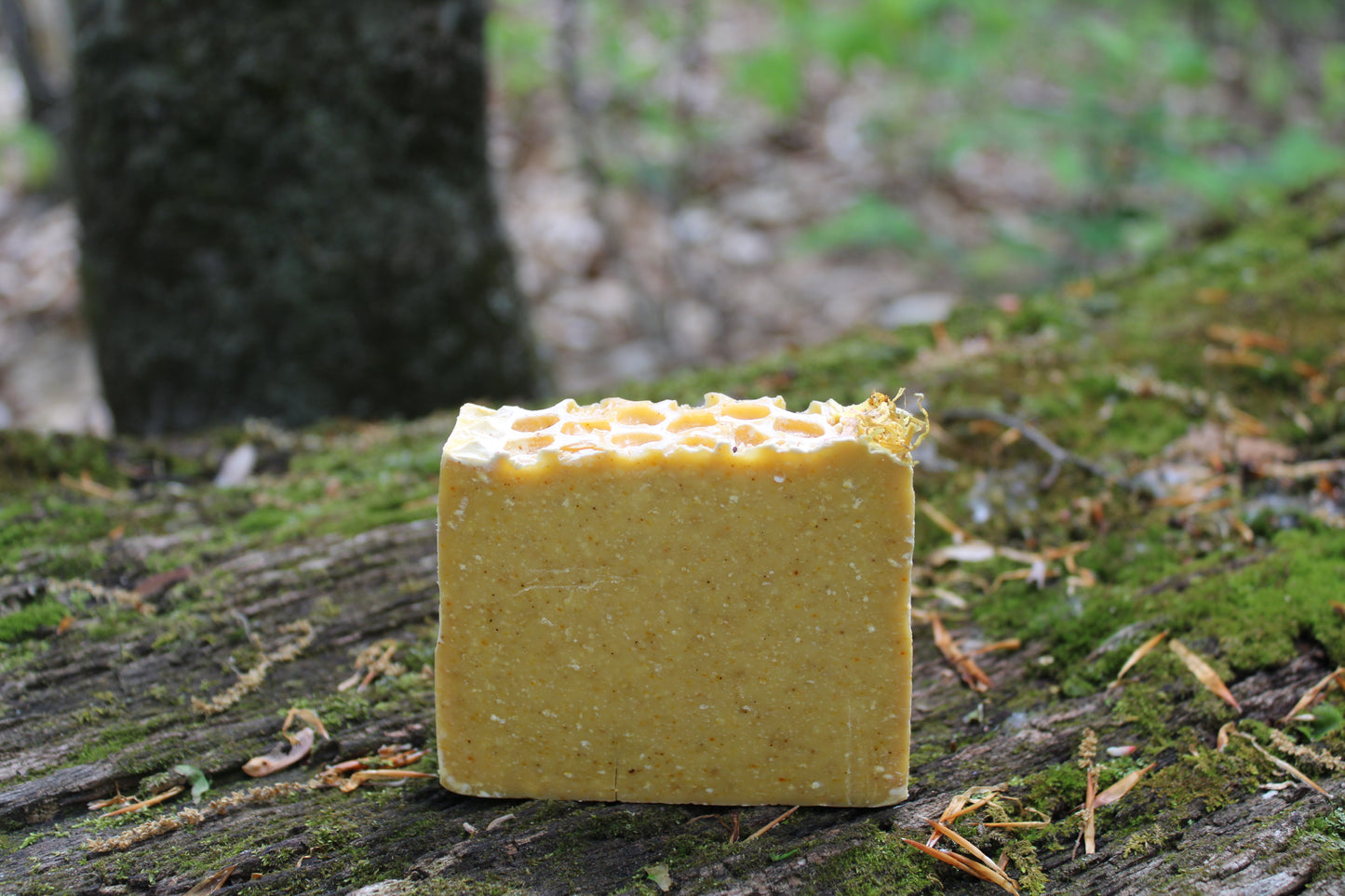 Honey + Salt Soap