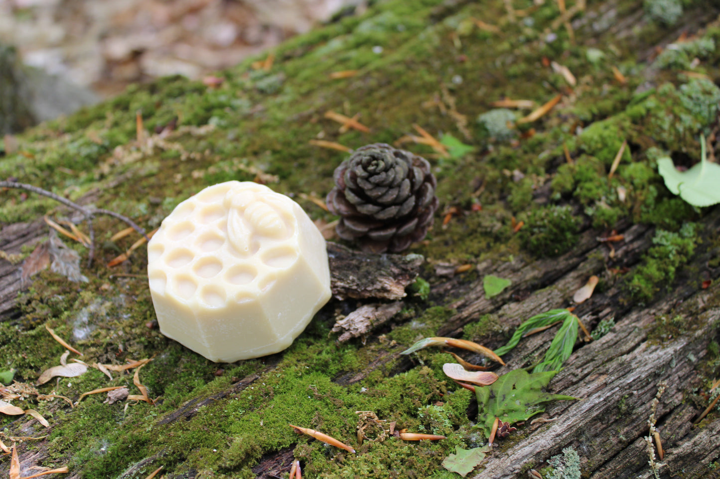 Tallow + Honey Soap