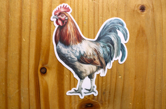 Rooster Sticker