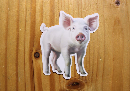 Pink Pig Sticker