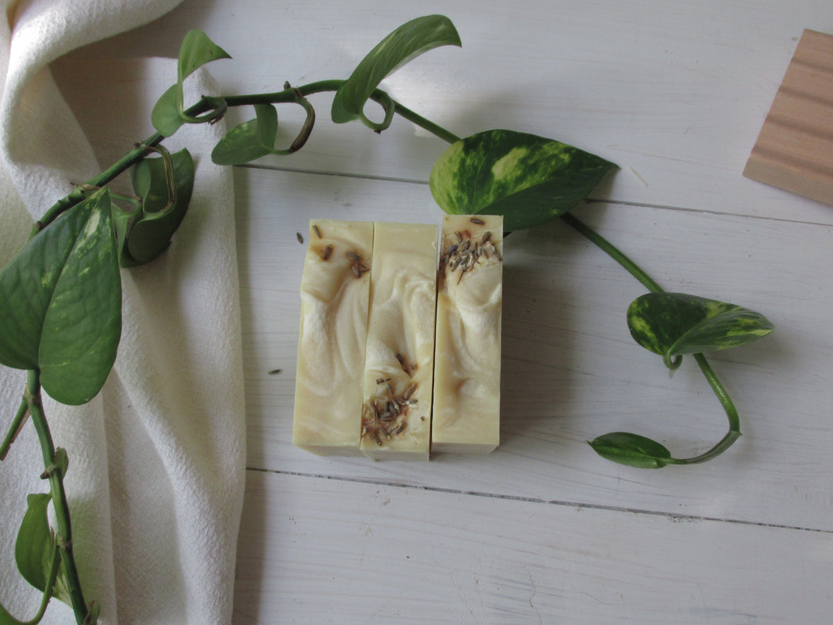 Sunlit Lavender Soap | Handmade Botanical Bar Soap with Lavender Flowers, Aloe Vera & Essential Oils | Natural Handmade Soap