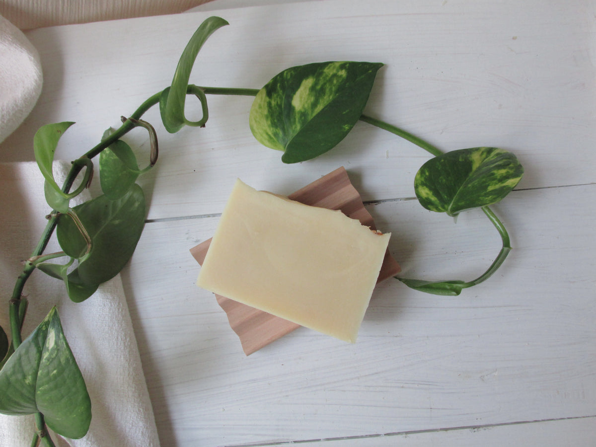 Sunlit Lavender Soap | Handmade Botanical Bar Soap with Lavender Flowers, Aloe Vera & Essential Oils | Natural Handmade Soap