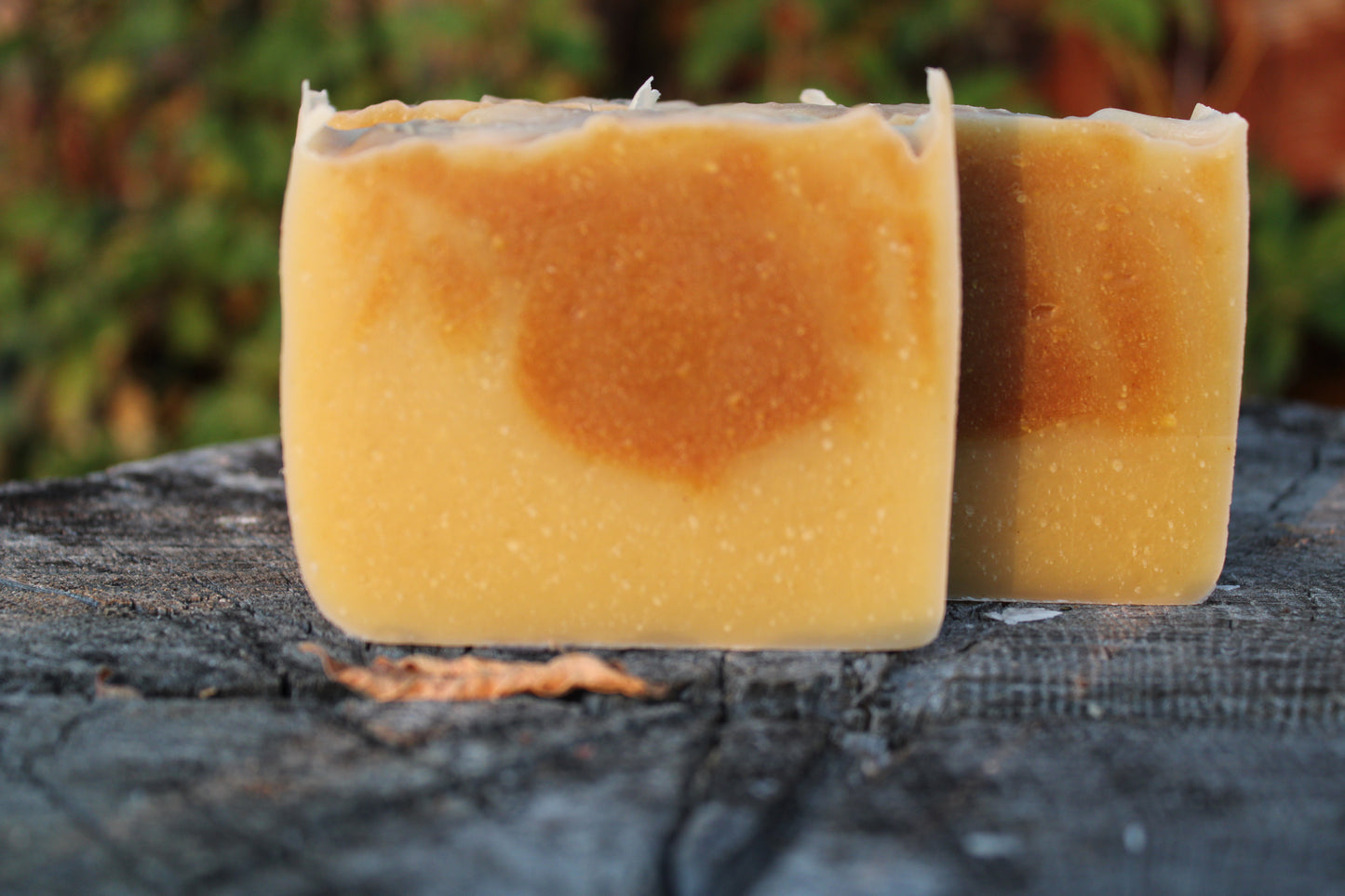 Autumn Gatherings Soap Bundle
