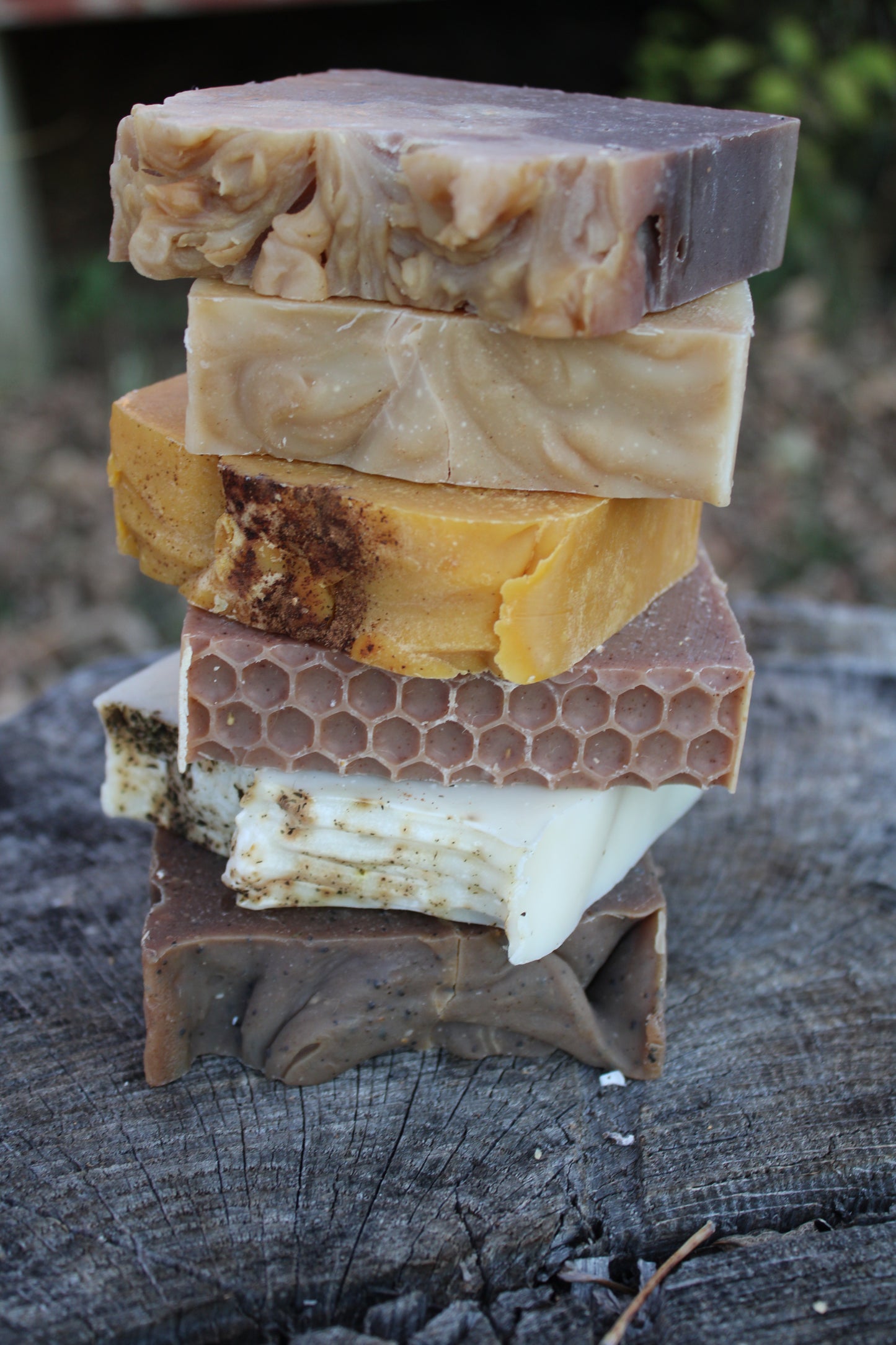 Autumn Gatherings Soap Bundle