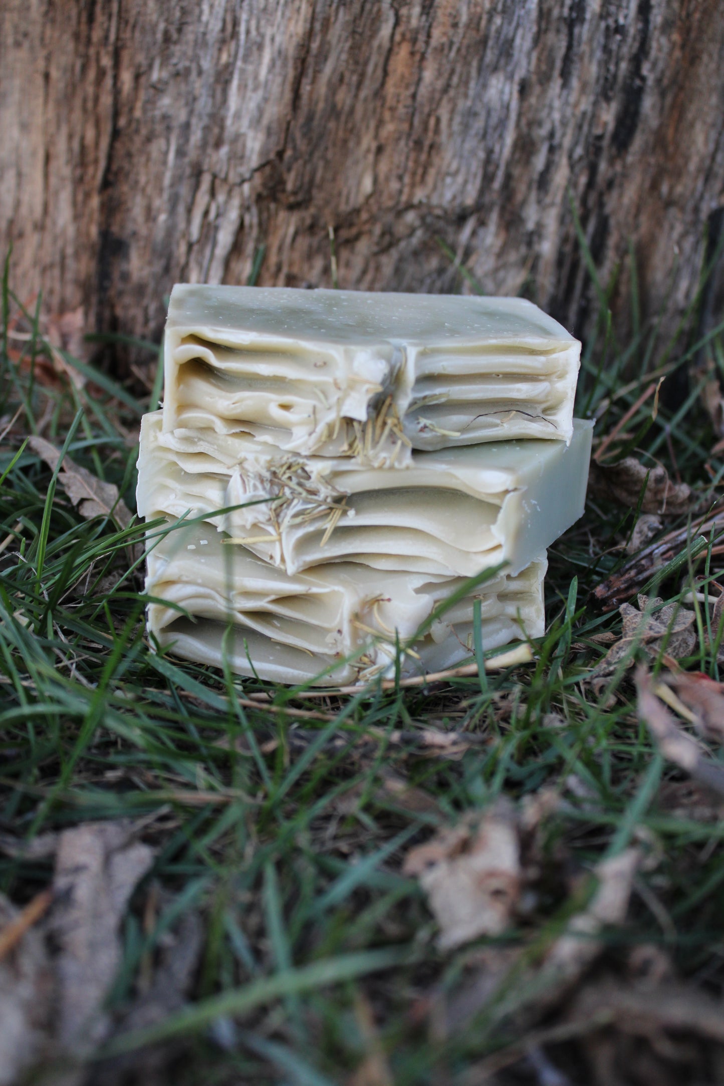 Mint + Pine Soap – Peppermint & Scotch Pine Natural Bar | 4 oz Handmade Soap