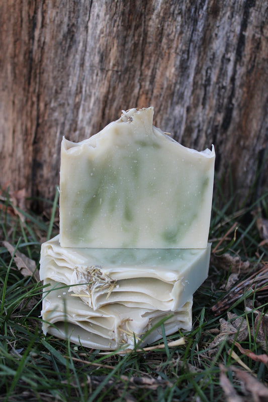 Mint + Pine Soap – Peppermint & Scotch Pine Natural Bar | 4 oz Handmade Soap