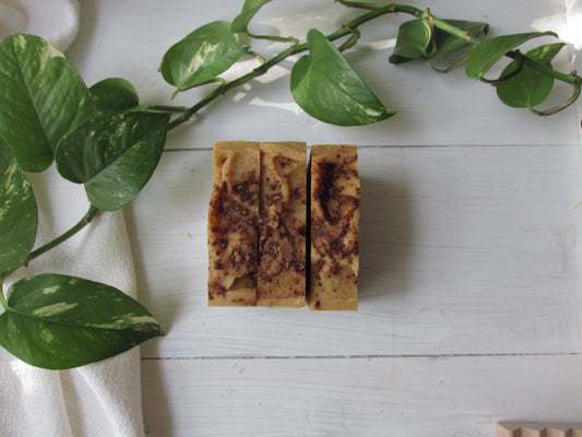 pumpkin + honey soap