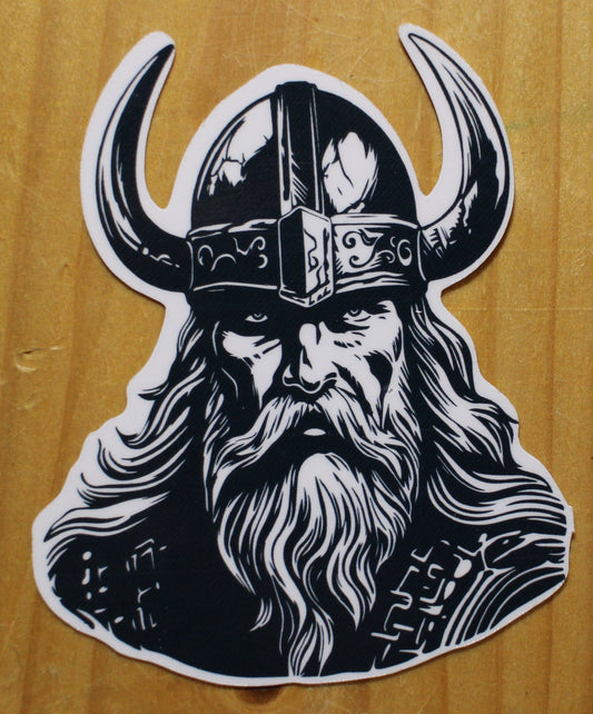 Viking 1 Sticker