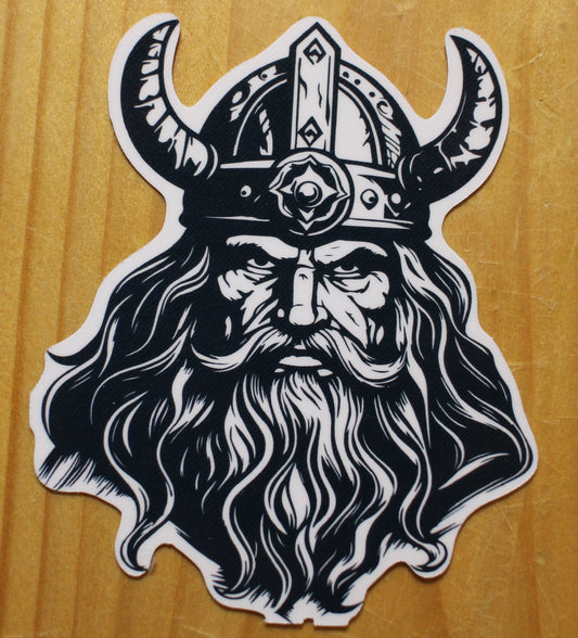 Viking 2 Sticker