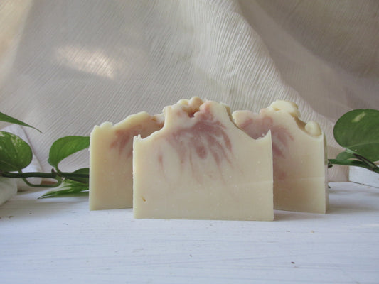 citrus + shea soap