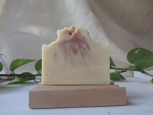 citrus + shea soap