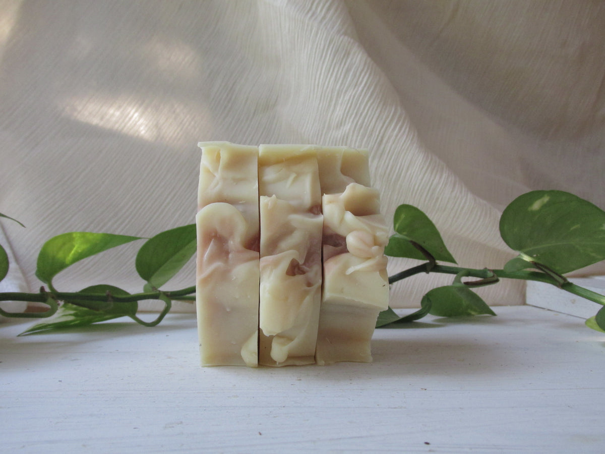 citrus + shea soap