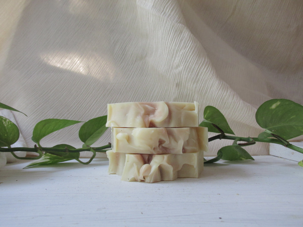 citrus + shea soap