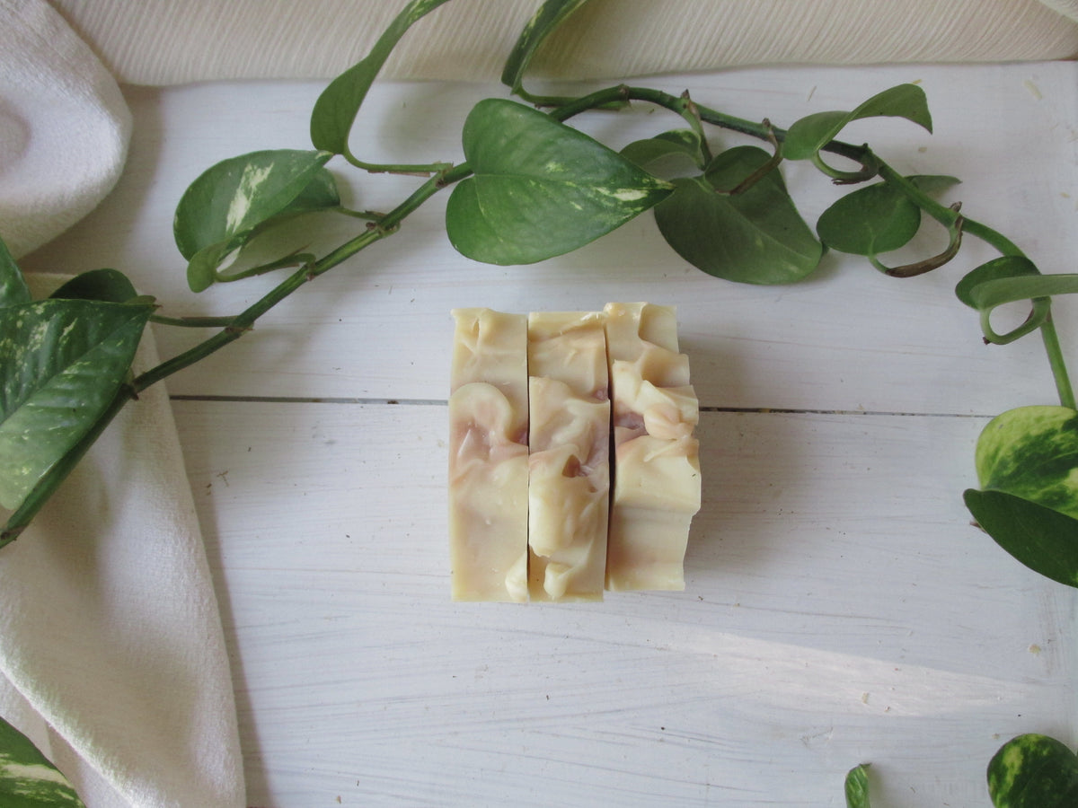 citrus + shea soap