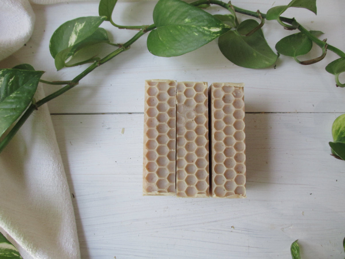 Tallow + Honey Soap