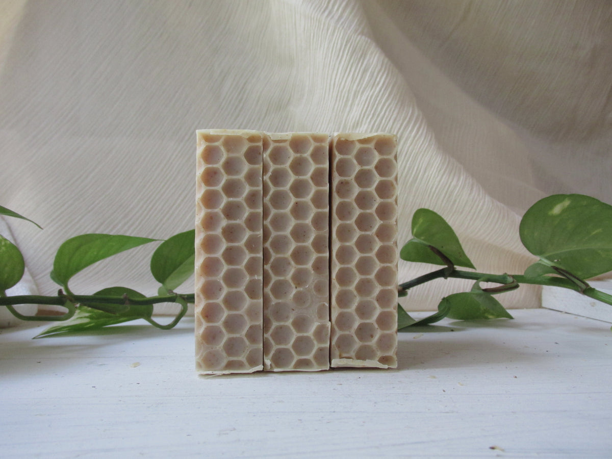 raw honey + spice soap